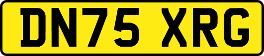 DN75XRG