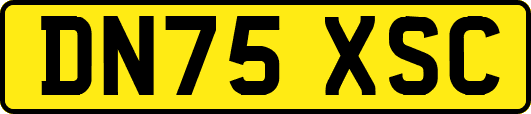 DN75XSC