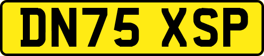 DN75XSP