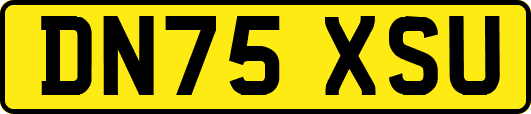 DN75XSU