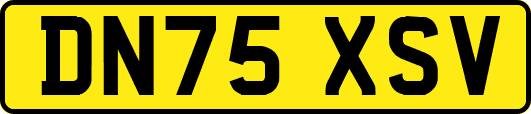 DN75XSV