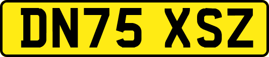 DN75XSZ