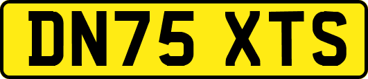 DN75XTS