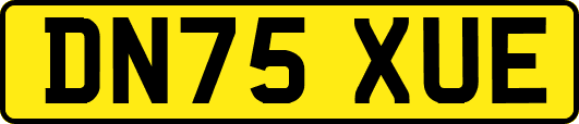 DN75XUE