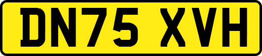 DN75XVH