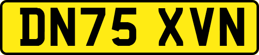DN75XVN