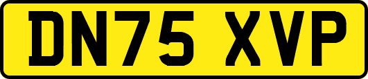DN75XVP