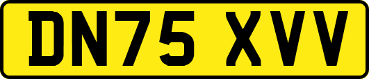 DN75XVV