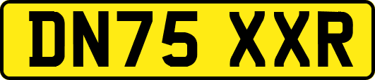 DN75XXR