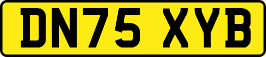 DN75XYB