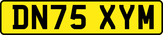 DN75XYM