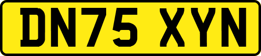 DN75XYN