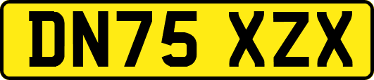 DN75XZX