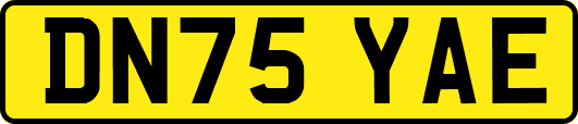 DN75YAE