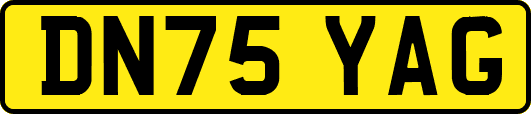 DN75YAG