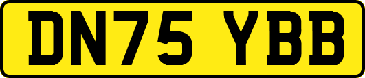 DN75YBB