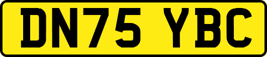 DN75YBC