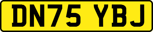 DN75YBJ