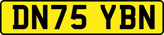 DN75YBN