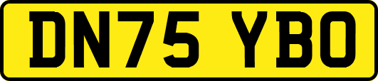DN75YBO
