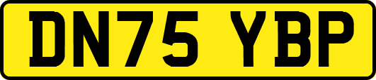 DN75YBP