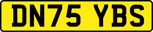 DN75YBS