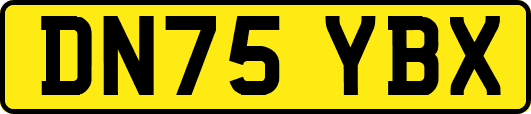 DN75YBX