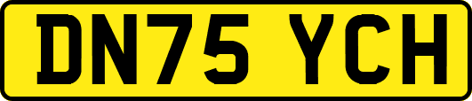 DN75YCH