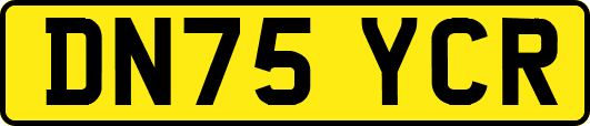 DN75YCR