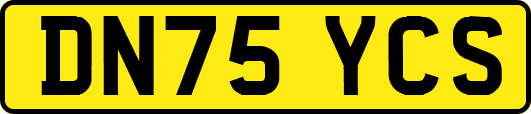DN75YCS
