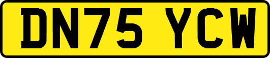 DN75YCW