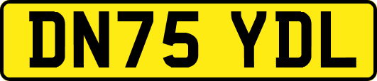 DN75YDL
