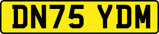 DN75YDM