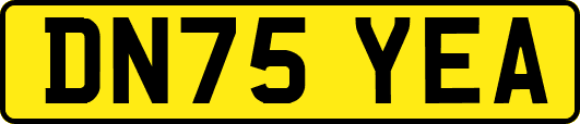 DN75YEA