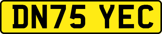 DN75YEC