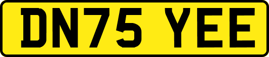 DN75YEE
