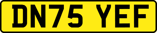 DN75YEF