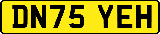 DN75YEH