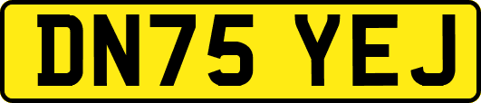DN75YEJ