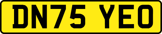 DN75YEO