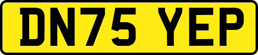 DN75YEP