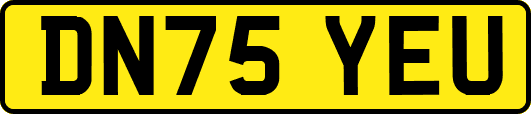 DN75YEU