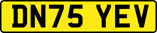 DN75YEV