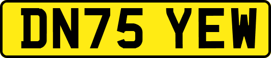 DN75YEW