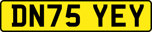 DN75YEY