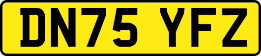 DN75YFZ