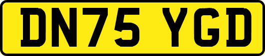 DN75YGD