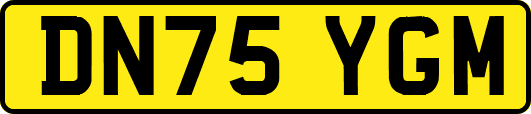 DN75YGM
