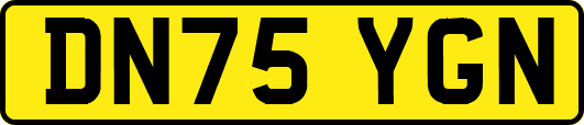 DN75YGN