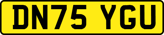 DN75YGU